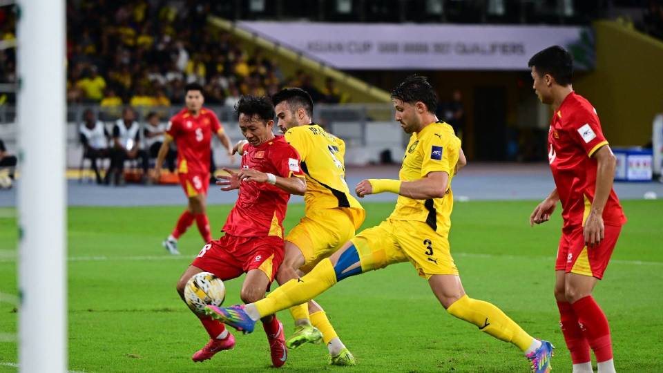 大马阵容中, 母或祖父母, 血统