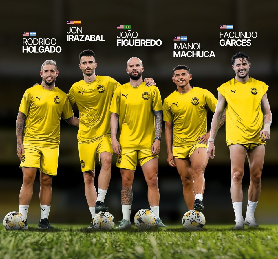 血统, Ksu, 斯坦队进行