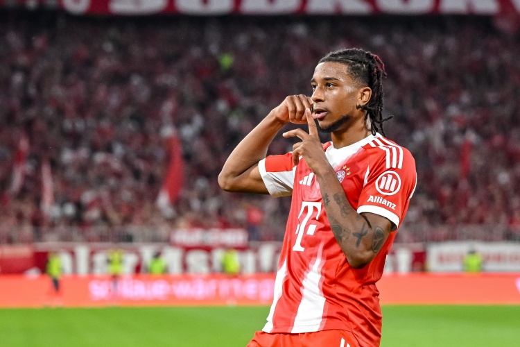 img, entit img, entit