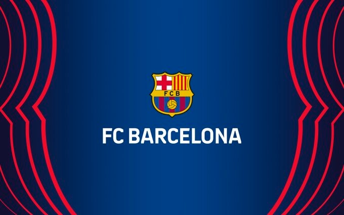 体提供的 体提供的