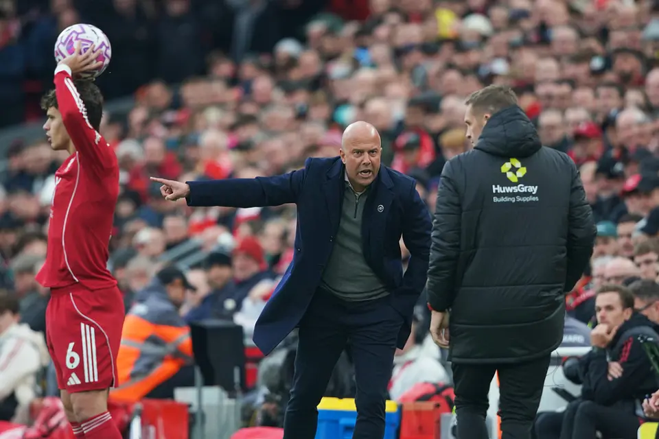 tenan, div, 希望大增时